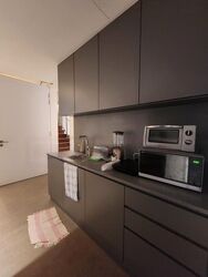 Lorong 13 Geylang (D14), Detached #461804911